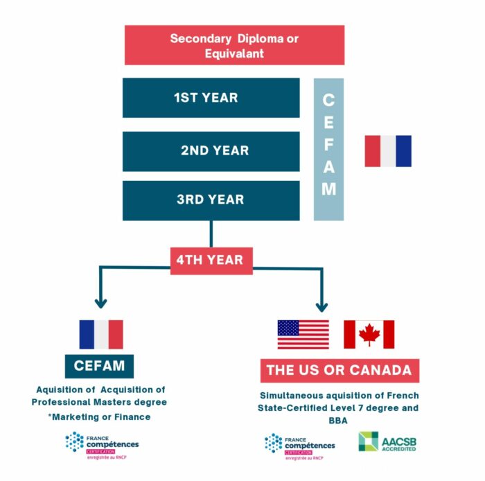 Cefam majort chart